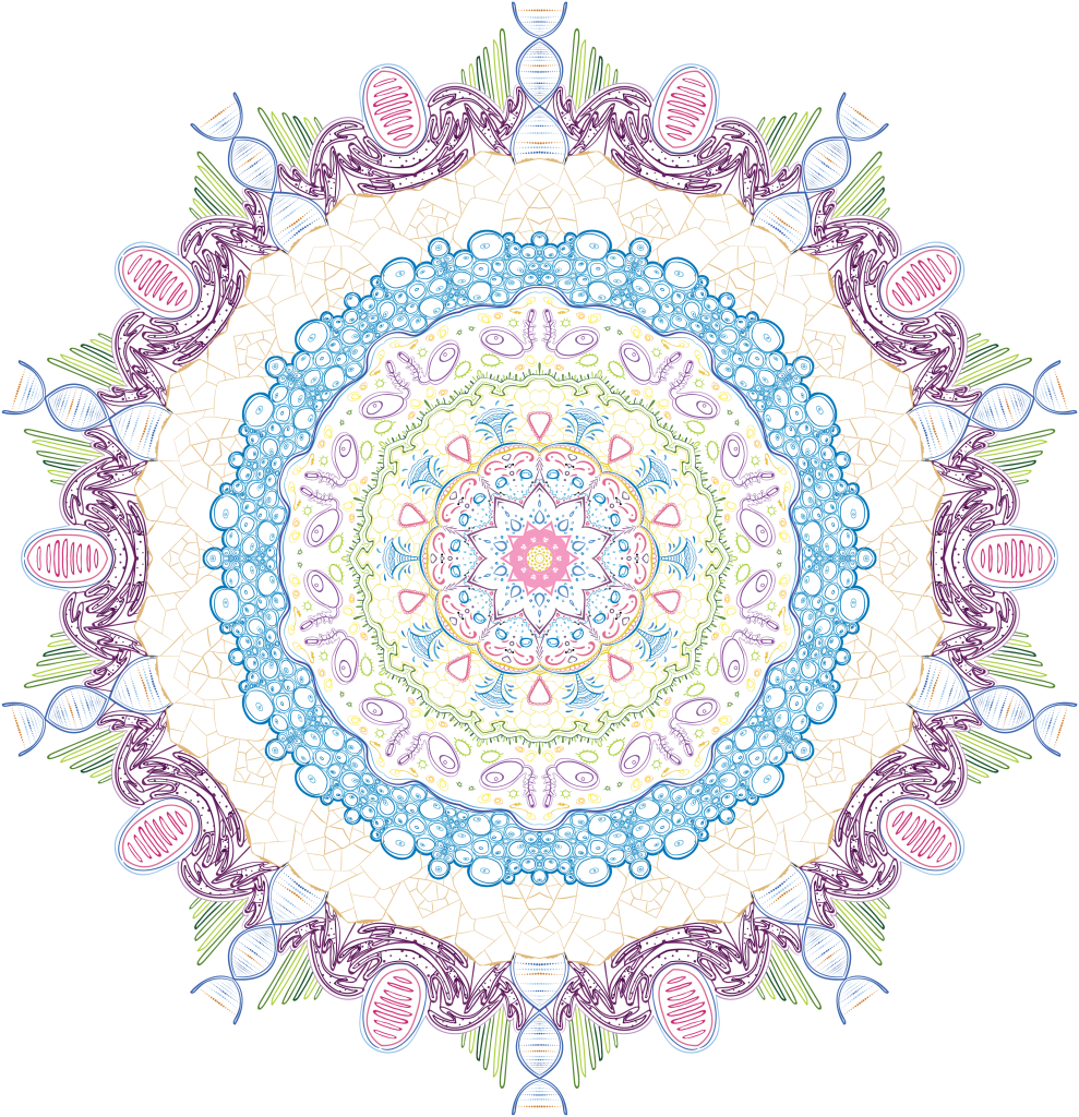 Colored 10-sliced mandala