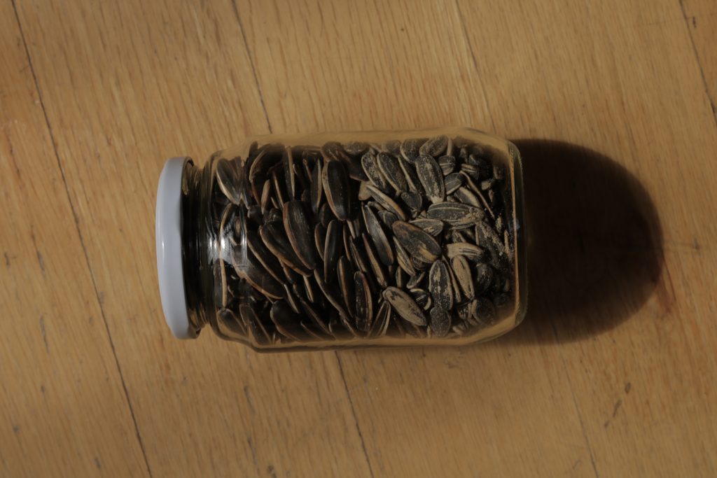 A photo of a jar of sunflower seeds, representing Katherine’s habit of eating sunflower seeds with the shell.