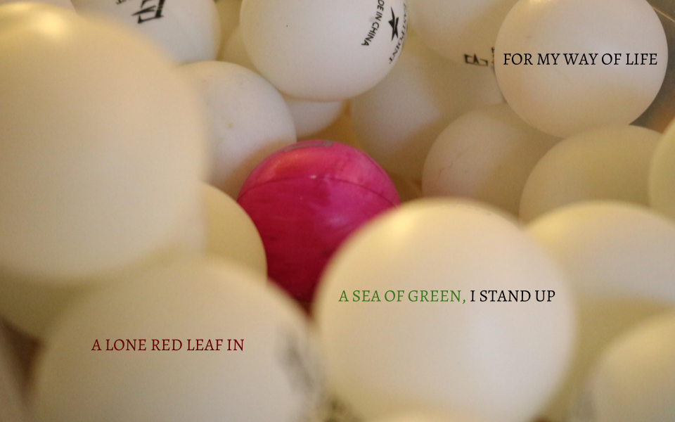 A lone red leaf in a sea of green, I stand up for my way of life