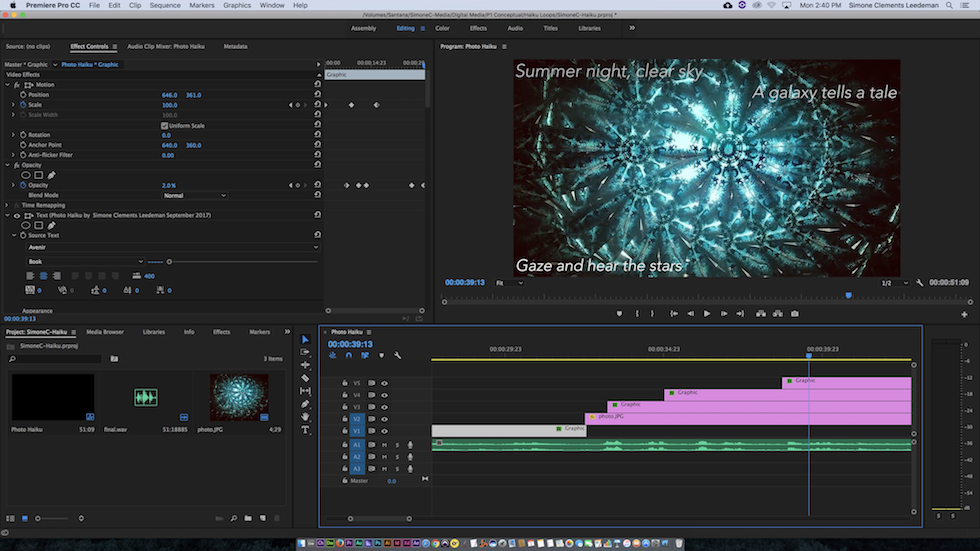 This is a screenshot of Premiere Pro, which I used to produce the haiku video.