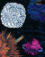 Amplified Art by SheilaA