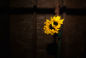 Junior Conceptual by SebastianM