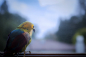 Trapped In Melancholy by HasmikG