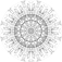 Natural order: A Senior Black and White Mandala Design by Josh Mintz