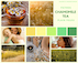 Product Logo: A2 Product Moodboard by Saumeya Suseenthiran