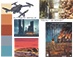 Edens Wrath: Book Jacket Moodboard by Mahaut de Boisset