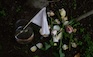 Withheld Serenity by LuluD