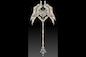 3D Asset image by ArthurK
