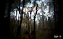 3D Asset image by RyeD