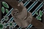 Aboriginal Sloth by SabrinaB