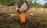 3D Character image by JuanV