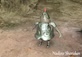 3D Character image by NadineS