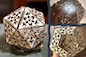 Icosahedron Flower Lamp: Analog Illustration by Darius Matulich