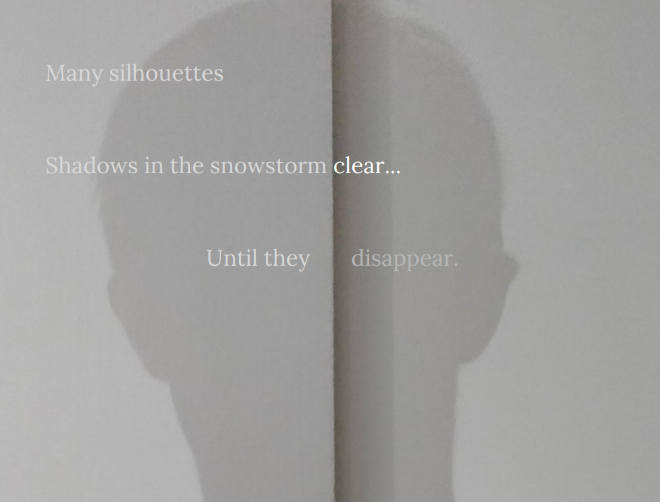 Many silhouettes, shadows in the snowstorm clear... Until they  disappear.