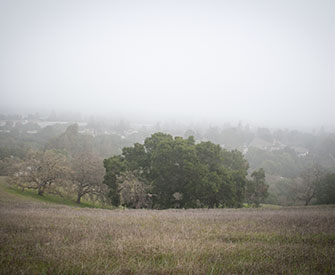 Foggy morning at Rancho