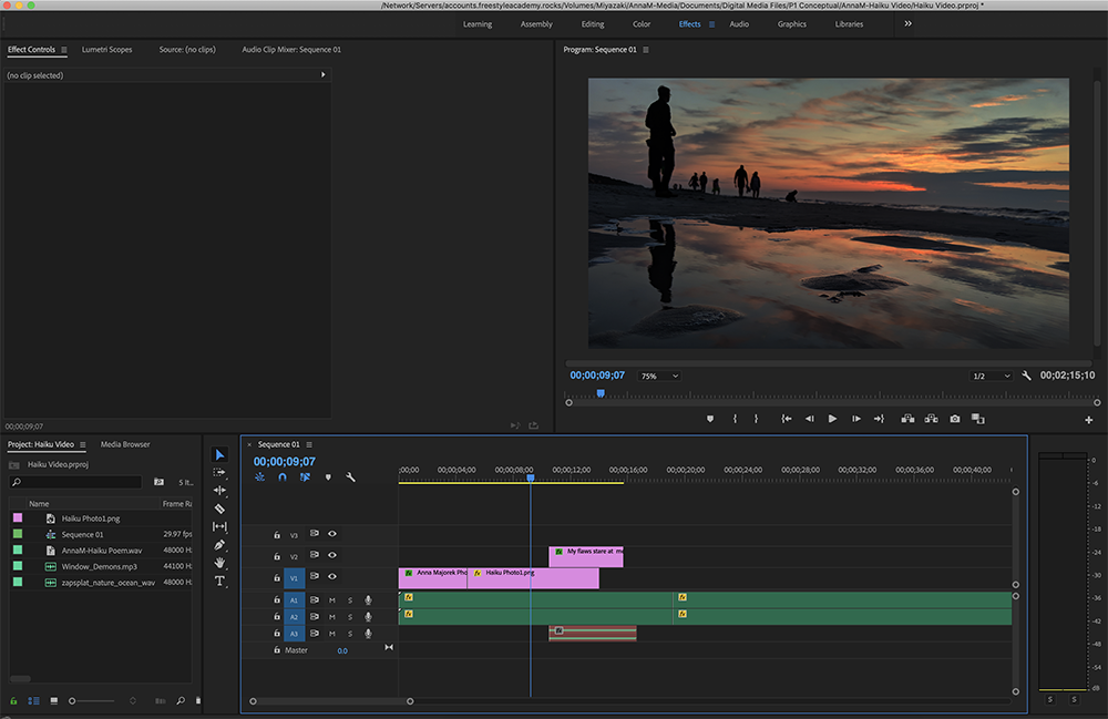 Editing my Haiku with Premiere Pro 