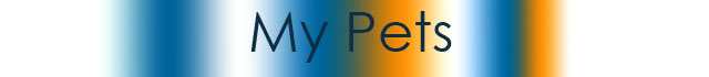 Pets Banner