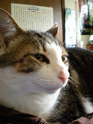 Wilson
