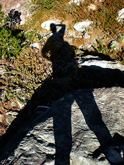 Self Portrait Image