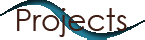 Projects Button