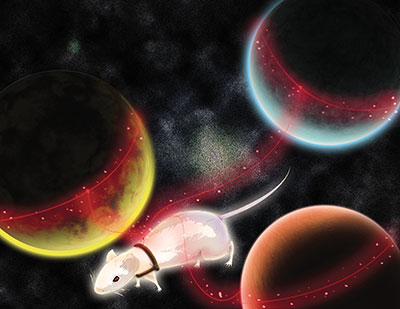 Narrative Illustration