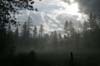 MHS-post-storm