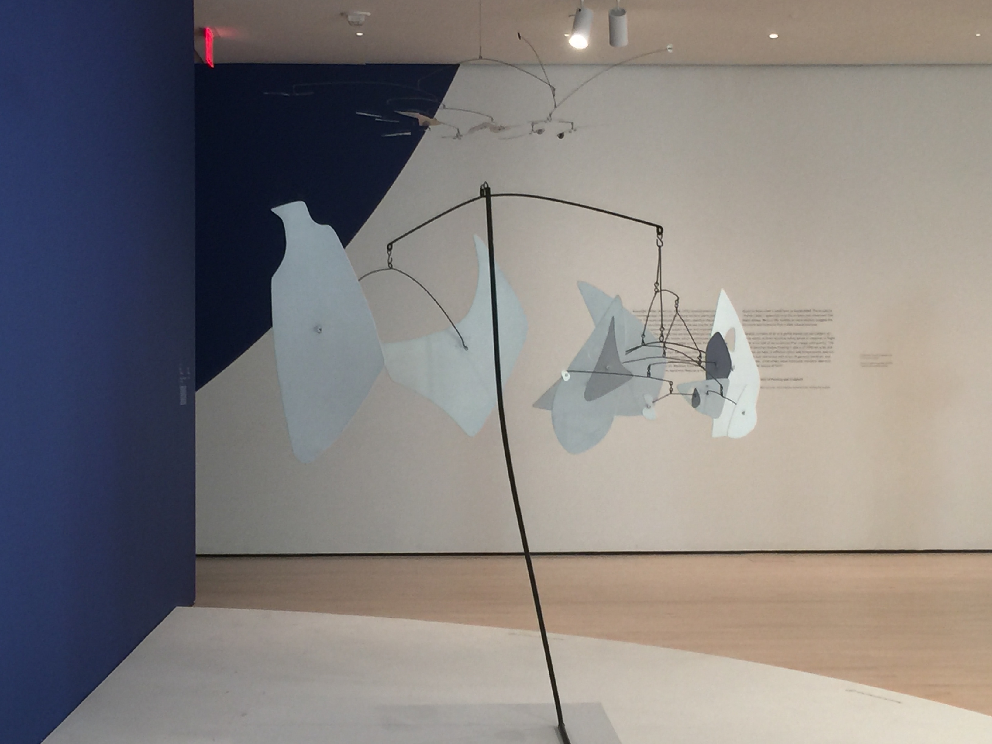 An image of differently sized objects hanged up and lined in order of increasing size, but a front view