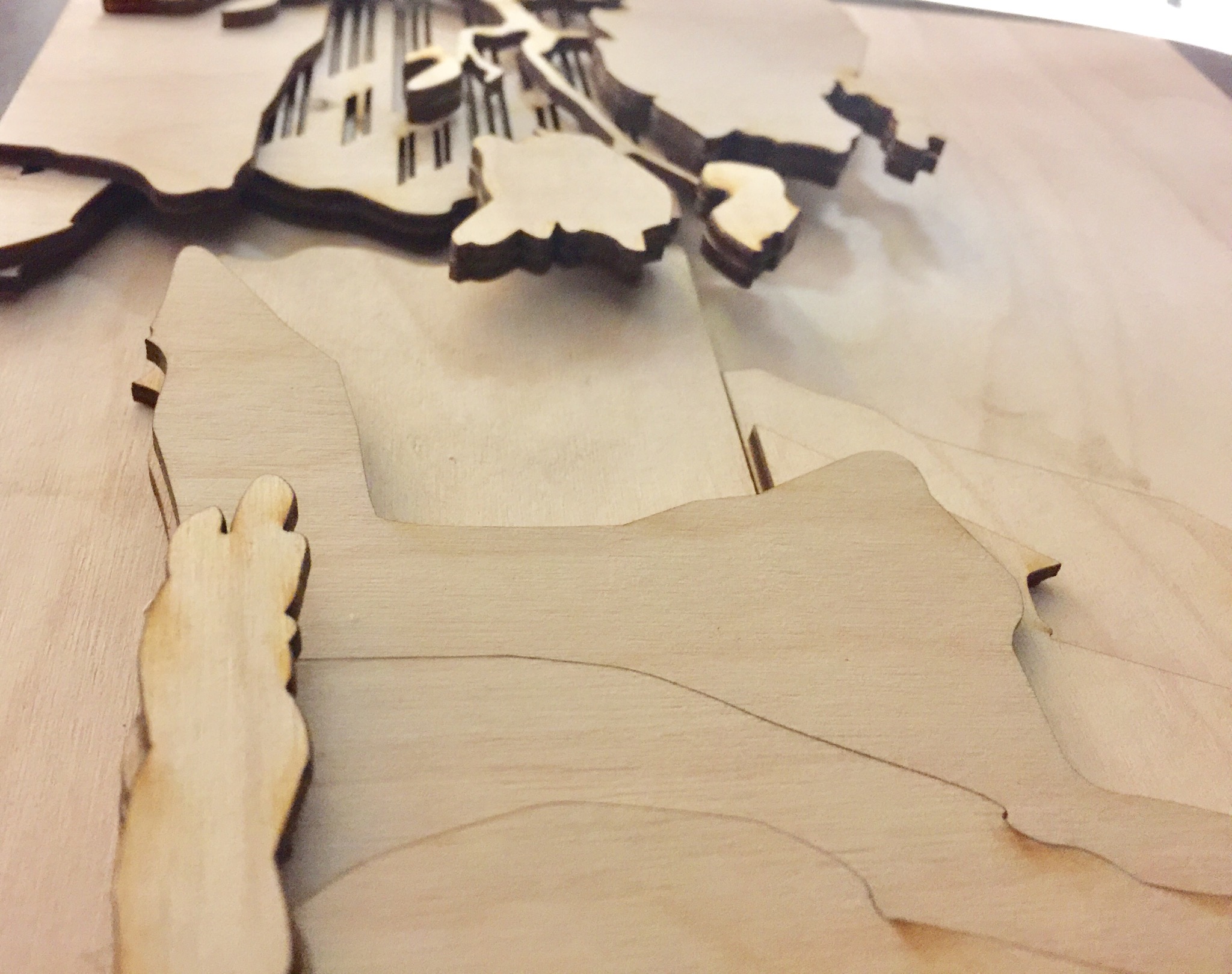 This is another image at a different angle.