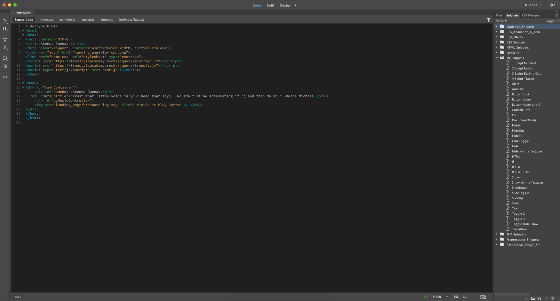 Coding screenshot