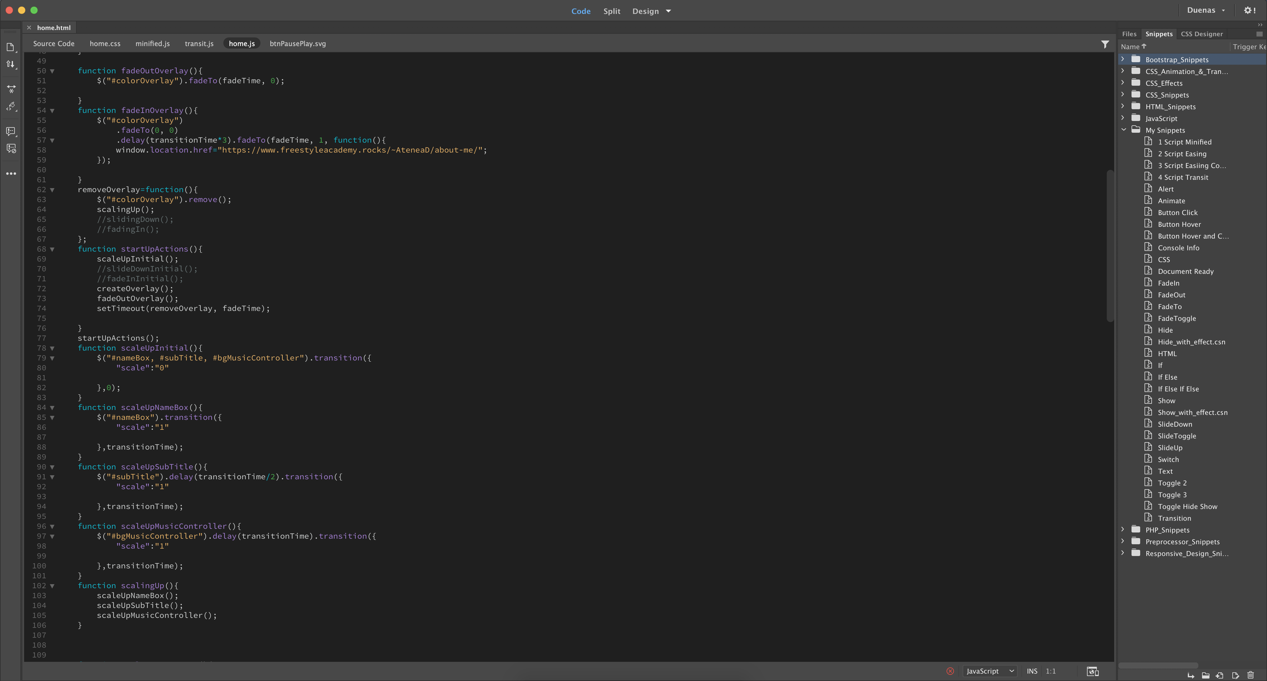 Coding screenshot