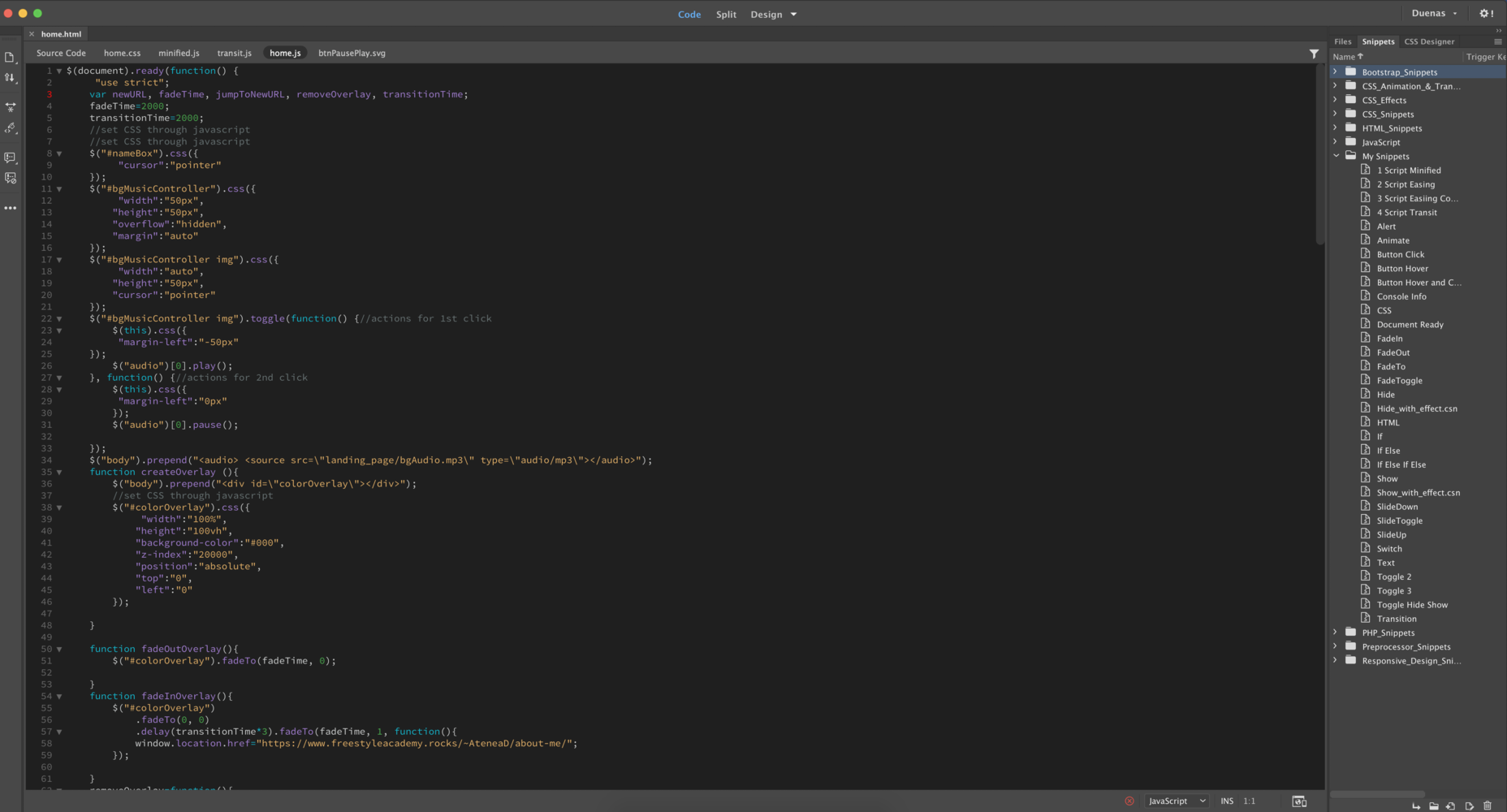 Coding screenshot