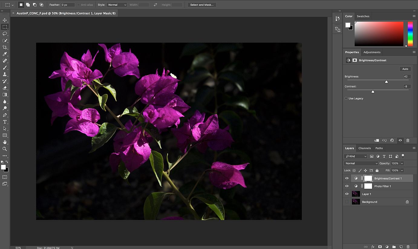 This is a screen shot of my workspace in Adobe Animate for the Photo Haiku