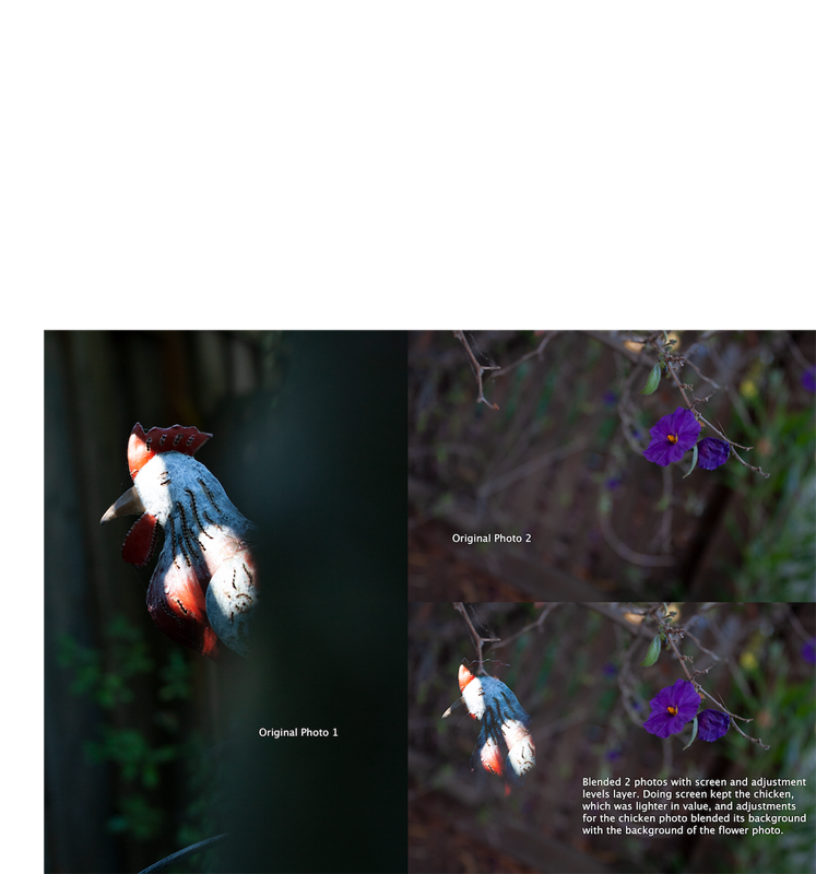 Creative Blend Modes: Weather vane + flowers