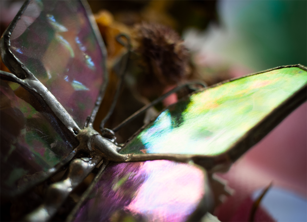 Macrophotography photo of a glass butterfly