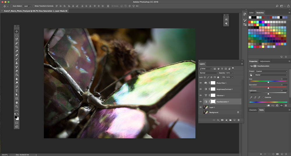 Screenshot of Workspace in Adobe Photoshop for Macrophotography