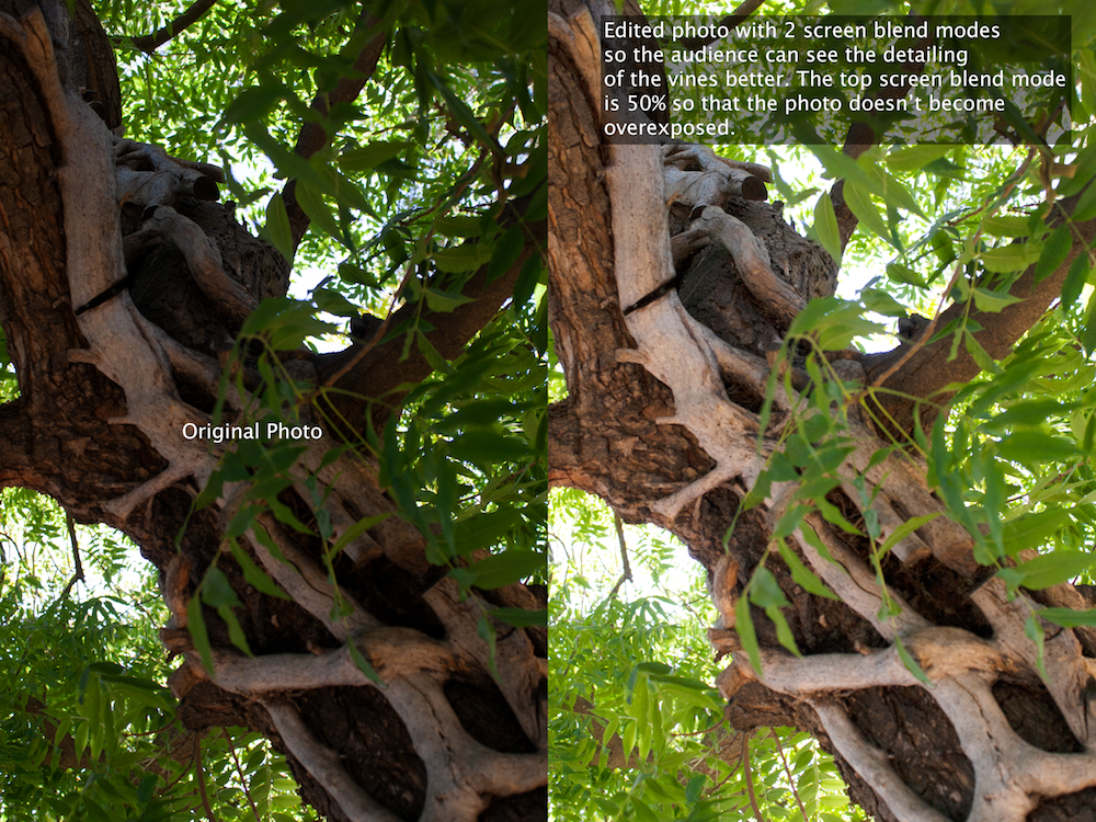 Screen Blend Modes on a Vine
