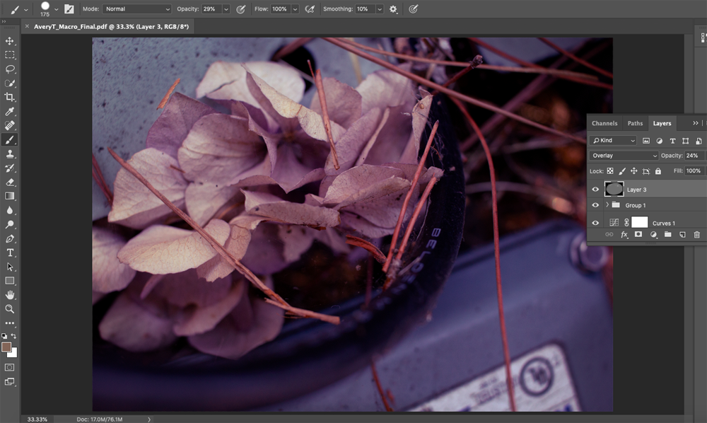 screenshot of photoshop workspace