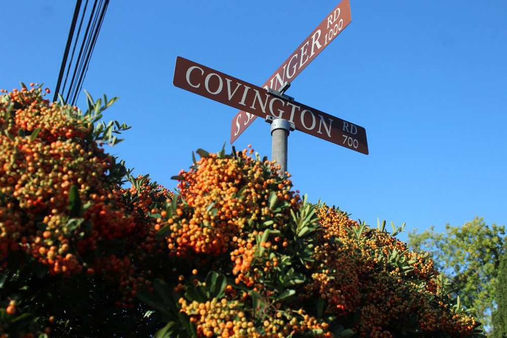The photo shows two street signs that are a brown orange rustic color on top of a bush with orange berries. 