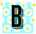 Student website image link