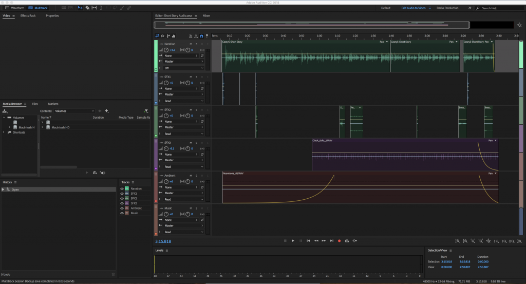 Screenshot of Adobe Audition