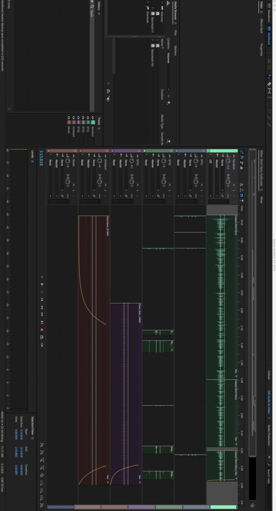 Screenshot of Adobe Audition