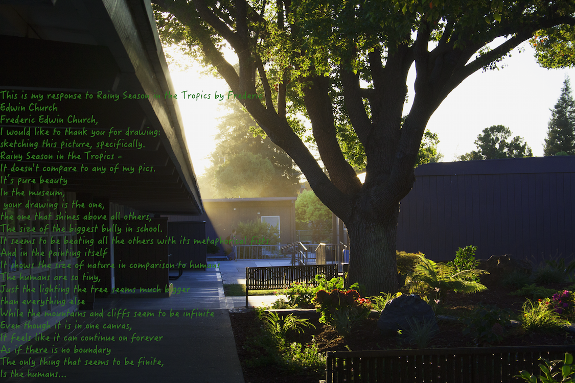 Photo of my ekphrastic poem