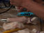 ColinD-gallery03
