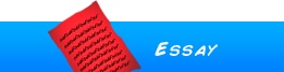 essay