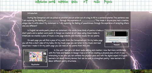 picture of my conceptual website