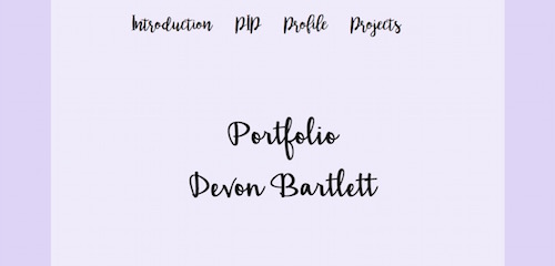 portfolio website