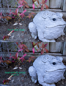 Blender Mode Picture Example