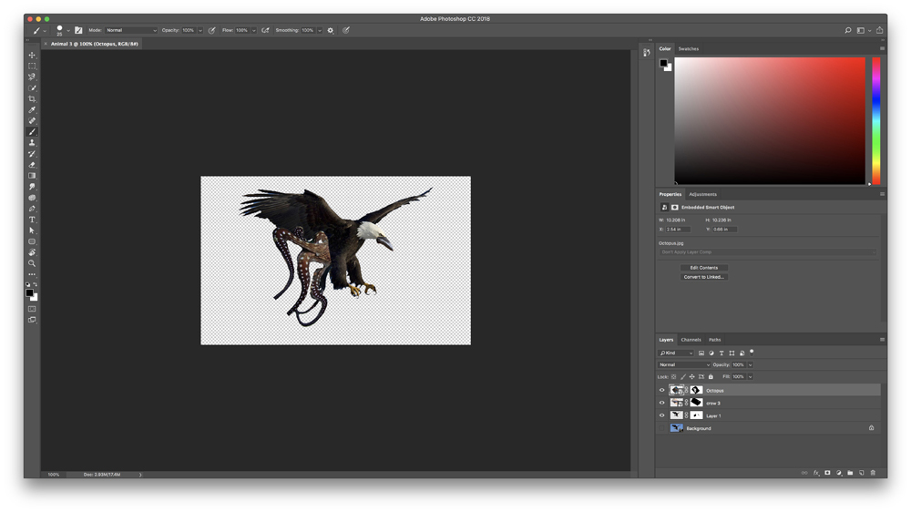 Narrative Creature - Behind the Scene