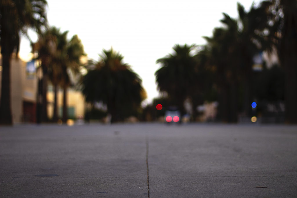 Blurry street with palm trees on the sides, with various lights throughout.