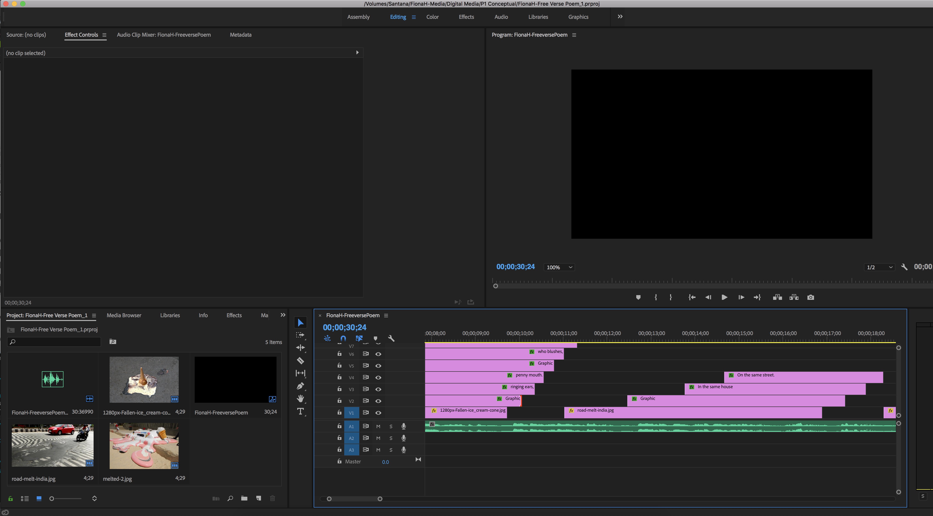 this is a screenshot of the free verse poem editing process in Premiere Pro